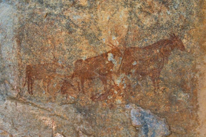 Polish archaeologist discovers hundreds of rock paintings in Tanzania